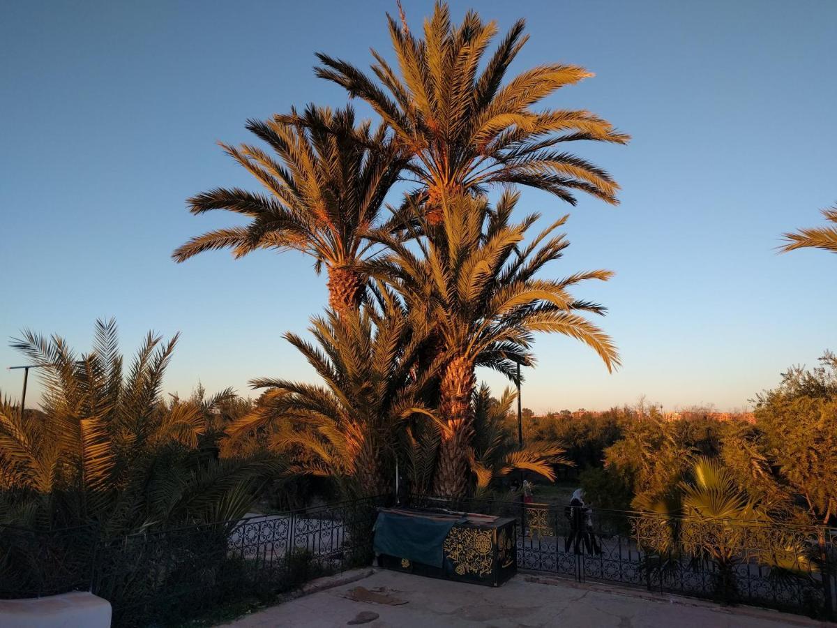 Opera Appartement, Hivernage Marrakech. Apartment Marrakesh